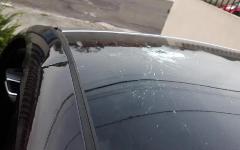 Foto: Arquivo Pessoal | Reprodução