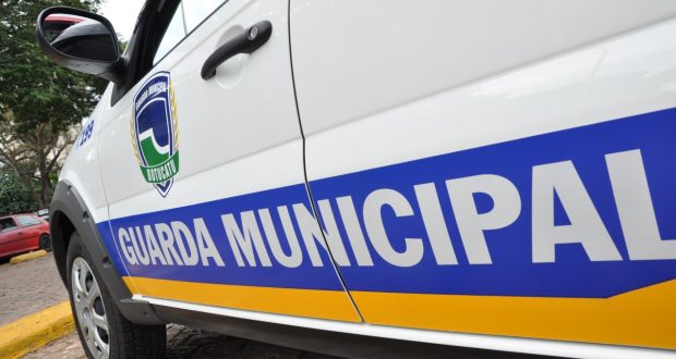 Foto: Alpha Notícias | Reprodução