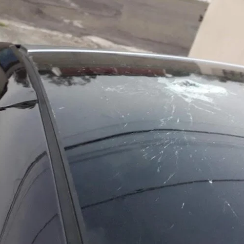 Foto: Arquivo Pessoal | Reprodução