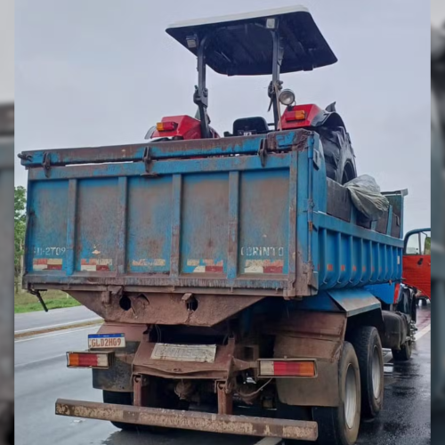 Foto: Polícia Militar | Reprodução