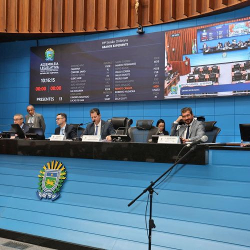 Foto: Luciana Nassar/ALEMS - Reprodução