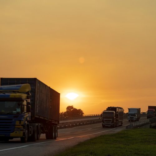 Foto: Freepik (imagem ilustrativa)