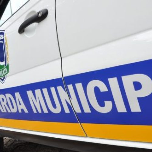 Foto: Alpha Notícias | Reprodução