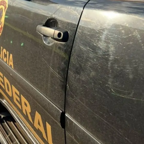 Foto: Reprodução/PF Paraná