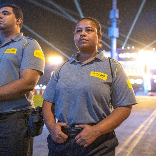 Foto: Reprodução SegurPro