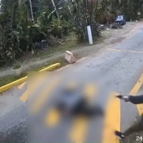 Foto: Reprodução/Costa Norte