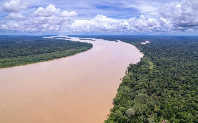 Foto: Shutterstock | Reprodução